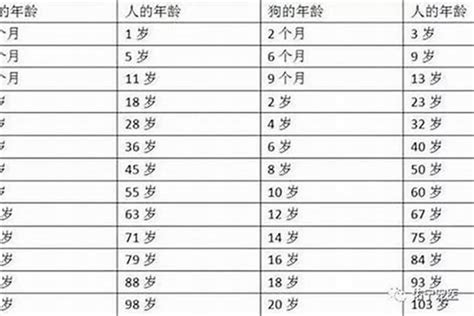 2008年出生今年多大|年龄计算器